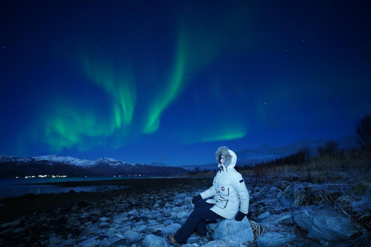 Arctic Rooms Rektor Тромсё Экстерьер фото